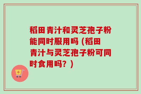 稻田青汁和灵芝孢子粉能同时服用吗 (稻田青汁与灵芝孢子粉可同时食用吗？)