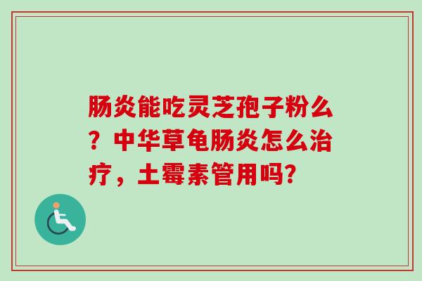 肠炎能吃灵芝孢子粉么？中华草龟肠炎怎么治疗，土霉素管用吗？
