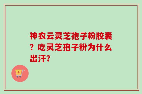 神农云灵芝孢子粉胶囊？吃灵芝孢子粉为什么出汗？