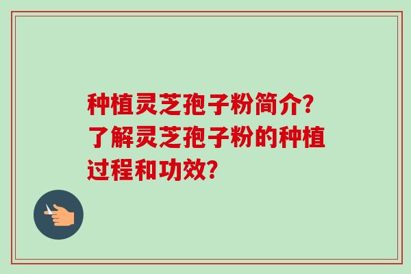 种植灵芝孢子粉简介？了解灵芝孢子粉的种植过程和功效？