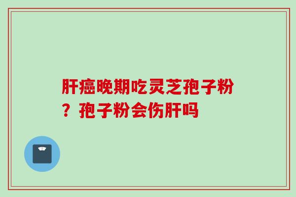 肝癌晚期吃灵芝孢子粉？孢子粉会伤肝吗