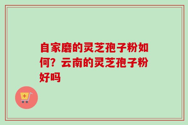自家磨的灵芝孢子粉如何?云南的灵芝孢子粉好吗 自家磨的灵芝孢子粉如何?云南的灵芝孢子粉好吗