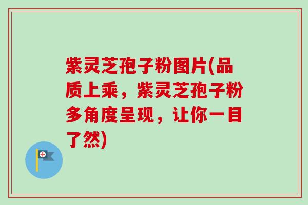 紫灵芝孢子粉图片(品质上乘，紫灵芝孢子粉多角度呈现，让你一目了然)