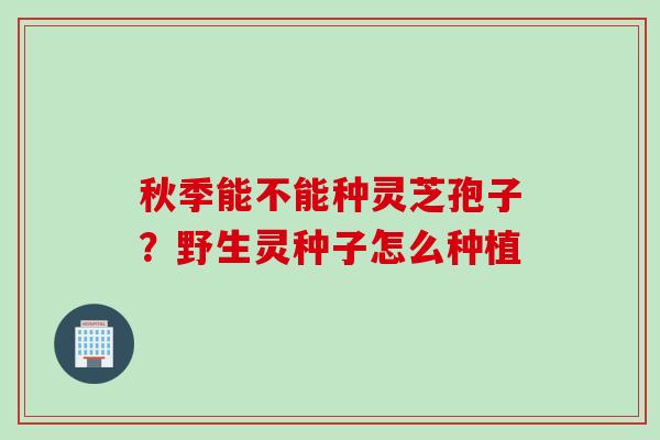秋季能不能种灵芝孢子？野生灵种子怎么种植