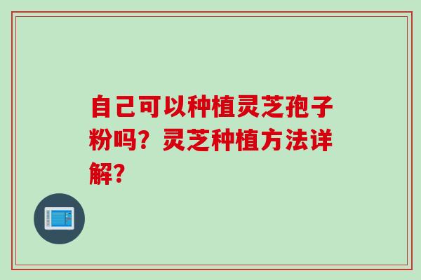 自己可以种植灵芝孢子粉吗？灵芝种植方法详解？