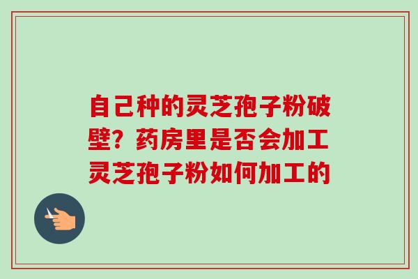 自己种的灵芝孢子粉破壁？药房里是否会加工灵芝孢子粉如何加工的