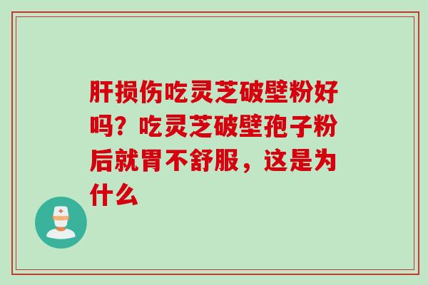 肝损伤吃灵芝破壁粉好吗？吃灵芝破壁孢子粉后就胃不舒服，这是为什么