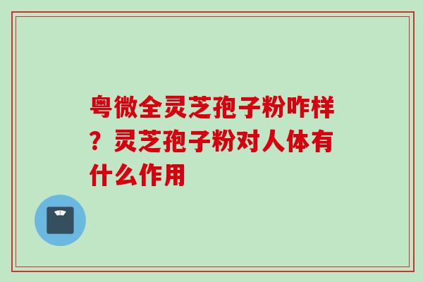 粤微全灵芝孢子粉咋样?灵芝孢子粉对人体有什么作用 粤微全灵芝孢子粉咋样?灵芝孢子粉对人体有什么作用