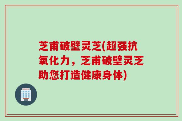 芝甫破壁灵芝(超强抗氧化力，芝甫破壁灵芝助您打造健康身体)
