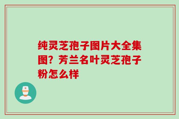 纯灵芝孢子图片大全集图？芳兰名叶灵芝孢子粉怎么样