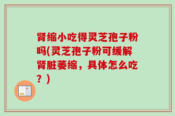 肾缩小吃得灵芝孢子粉吗(灵芝孢子粉可缓解肾脏萎缩，具体怎么吃？)