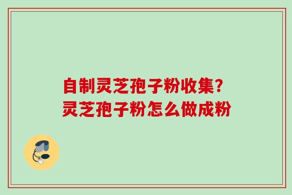 自制灵芝孢子粉收集？灵芝孢子粉怎么做成粉