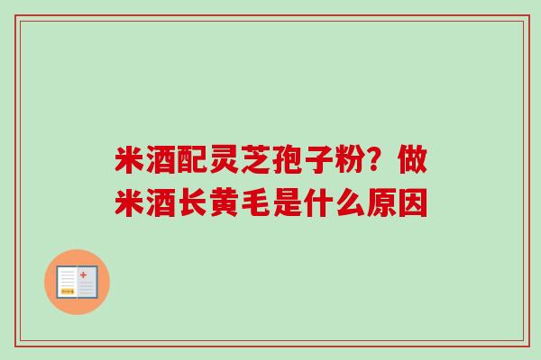 米酒配灵芝孢子粉？做米酒长黄毛是什么原因