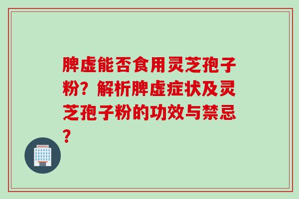 脾虚能否食用灵芝孢子粉？解析脾虚症状及灵芝孢子粉的功效与禁忌？