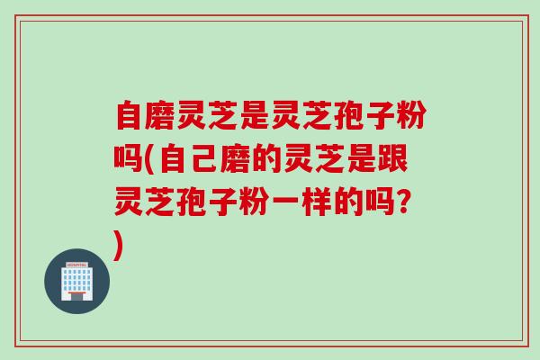 自磨灵芝是灵芝孢子粉吗(自己磨的灵芝是跟灵芝孢子粉一样的吗？)