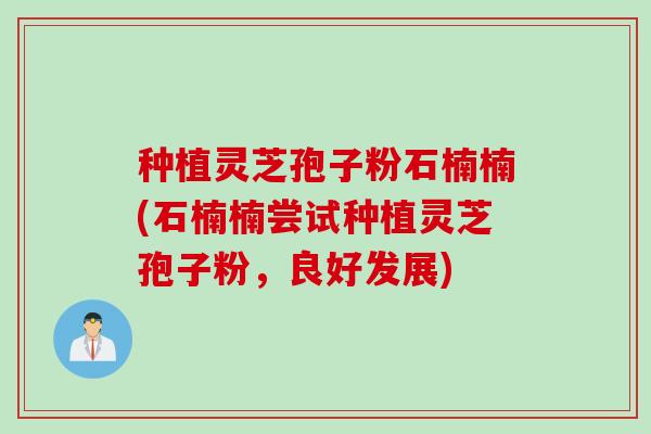 种植灵芝孢子粉石楠楠(石楠楠尝试种植灵芝孢子粉，良好发展)