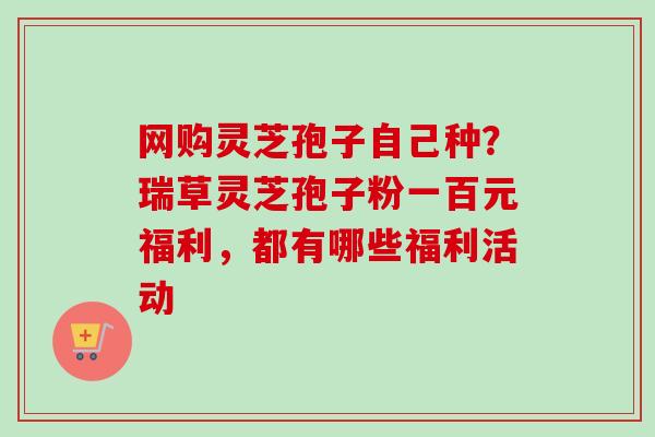 网购灵芝孢子自己种?瑞草灵芝孢子粉一百元福利,都有哪些福利活动 网购灵芝孢子自己种?瑞草灵芝孢子粉一百元福利,都有哪些福利活动
