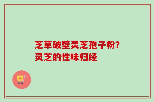 芝草破壁灵芝孢子粉？灵芝的性味归经