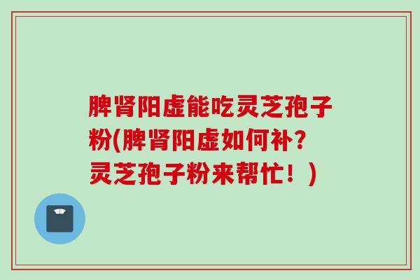 脾肾阳虚能吃灵芝孢子粉(脾肾阳虚如何补？灵芝孢子粉来帮忙！)