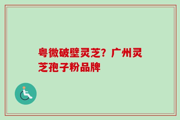 粤微破壁灵芝？广州灵芝孢子粉品牌