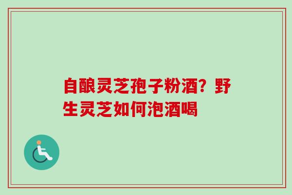 自酿灵芝孢子粉酒？野生灵芝如何泡酒喝