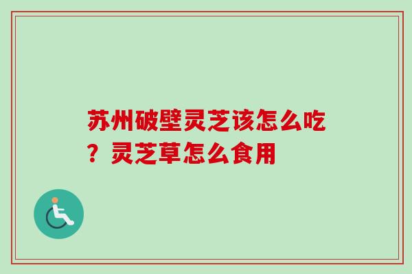苏州破壁灵芝该怎么吃？灵芝草怎么食用