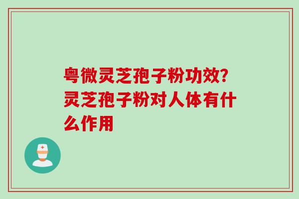 粤微灵芝孢子粉功效？灵芝孢子粉对人体有什么作用