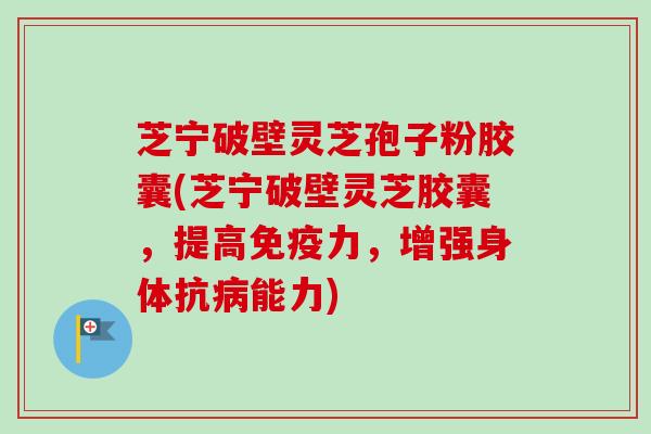 芝宁破壁灵芝孢子粉胶囊(芝宁破壁灵芝胶囊,提高免疫力,增强身体抗能力) 芝宁破壁灵芝孢子粉胶囊(芝宁破壁灵芝胶囊,提高免疫力,增强身体抗能力)