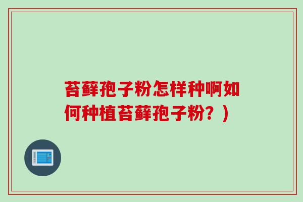 苔藓孢子粉怎样种啊如何种植苔藓孢子粉？)