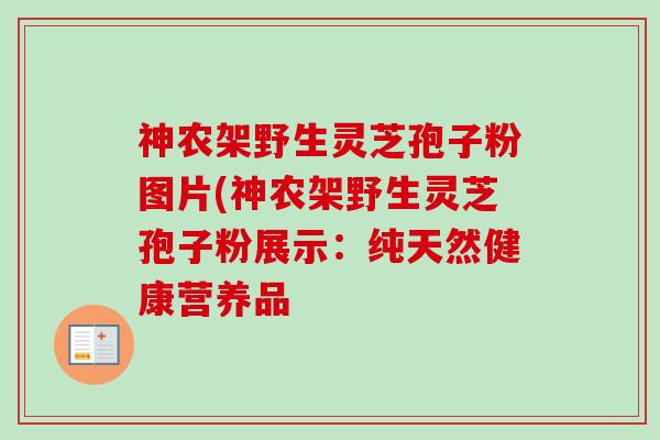 神农架野生灵芝孢子粉图片(神农架野生灵芝孢子粉展示：纯天然健康营养品