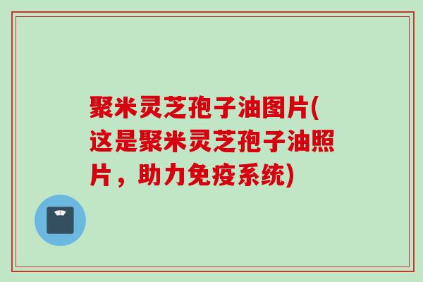 聚米灵芝孢子油图片(这是聚米灵芝孢子油照片，助力免疫系统)