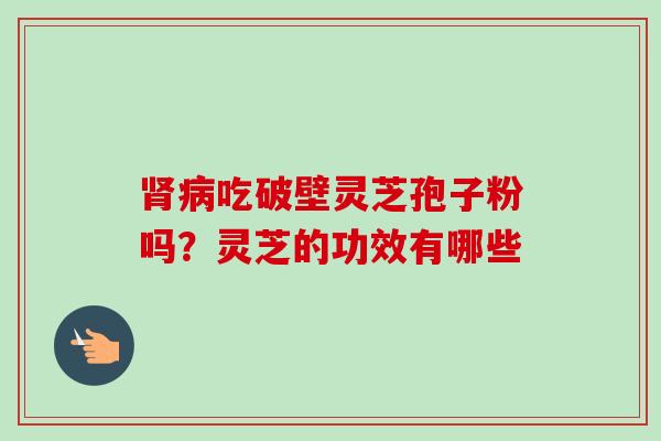 肾病吃破壁灵芝孢子粉吗？灵芝的功效有哪些