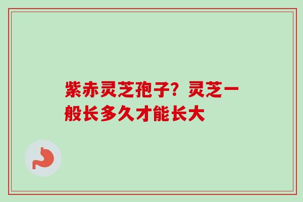 紫赤灵芝孢子？灵芝一般长多久才能长大