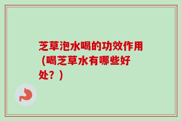 芝草泡水喝的功效作用 (喝芝草水有哪些好处？)