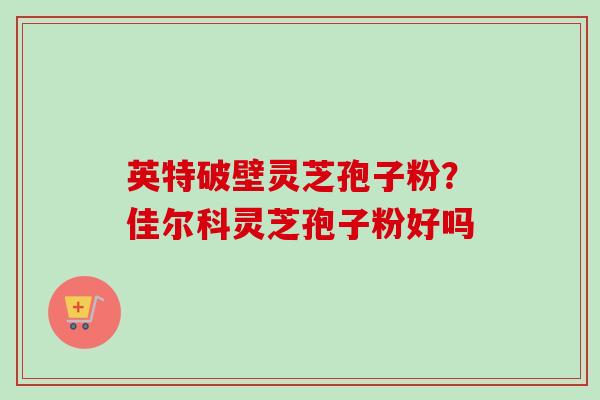 英特破壁灵芝孢子粉？佳尔科灵芝孢子粉好吗