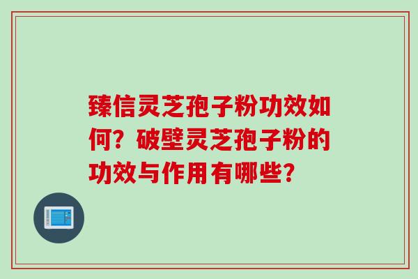 臻信灵芝孢子粉功效如何？破壁灵芝孢子粉的功效与作用有哪些？