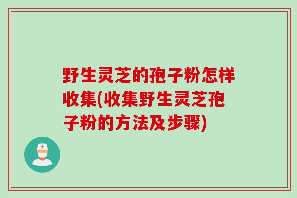 野生灵芝的孢子粉怎样收集(收集野生灵芝孢子粉的方法及步骤)