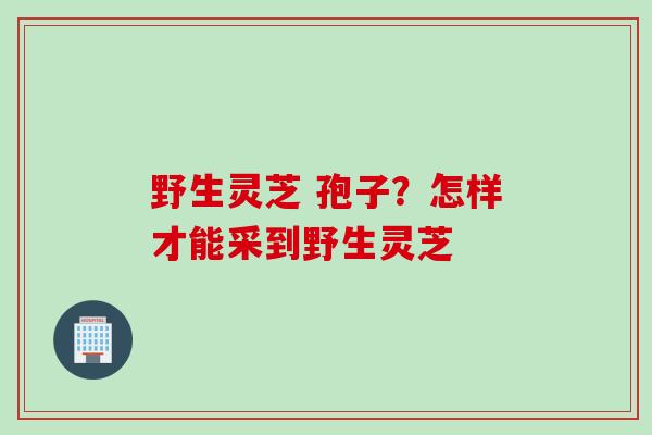 野生灵芝 孢子？怎样才能采到野生灵芝