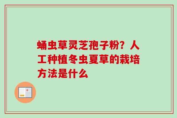 蛹虫草灵芝孢子粉？人工种植冬虫夏草的栽培方法是什么