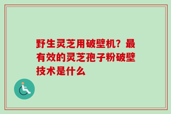 野生灵芝用破壁机？最有效的灵芝孢子粉破壁技术是什么