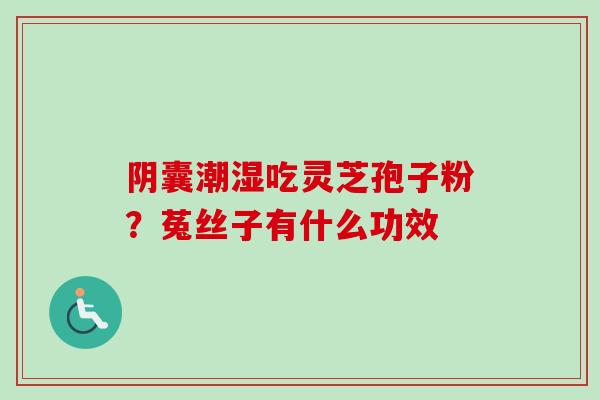 阴囊潮湿吃灵芝孢子粉?菟丝子有什么功效 阴囊潮湿吃灵芝孢子粉?菟丝子有什么功效
