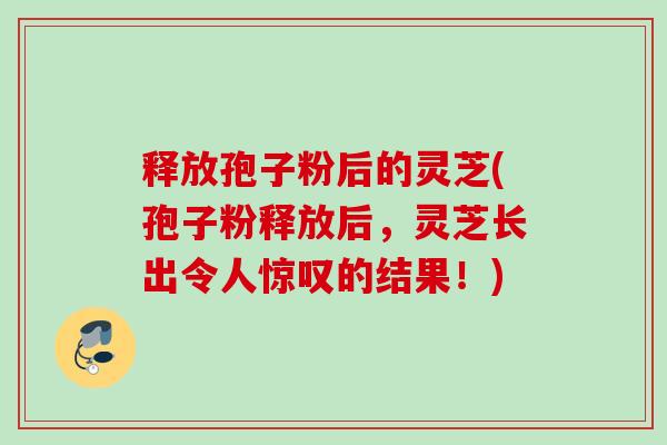 释放孢子粉后的灵芝(孢子粉释放后，灵芝长出令人惊叹的结果！)