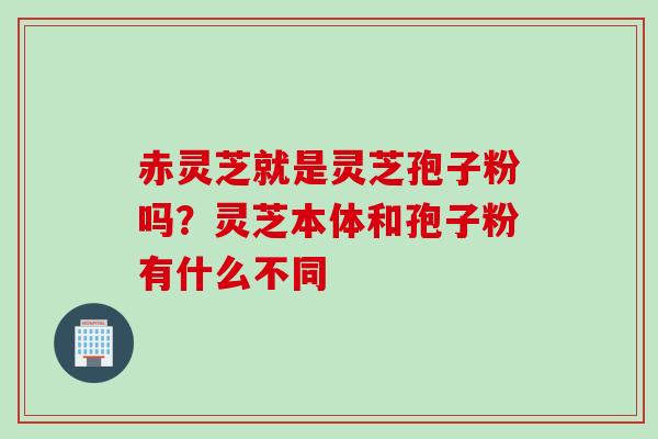 赤灵芝就是灵芝孢子粉吗？灵芝本体和孢子粉有什么不同