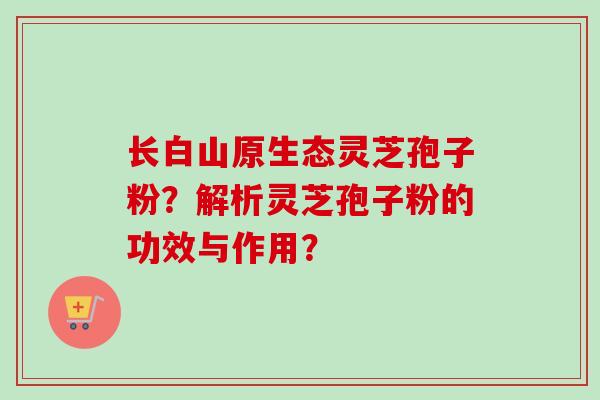 长白山原生态灵芝孢子粉？解析灵芝孢子粉的功效与作用？