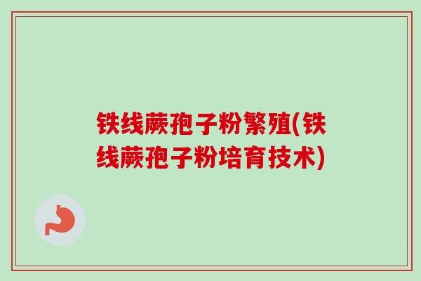 铁线蕨孢子粉繁殖(铁线蕨孢子粉培育技术)