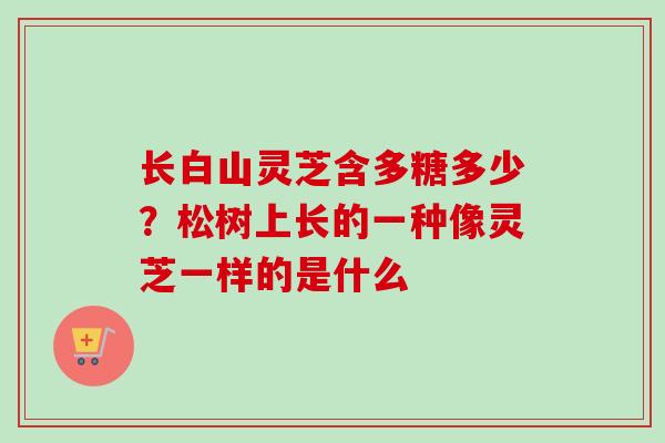 长白山灵芝含多糖多少？松树上长的一种像灵芝一样的是什么