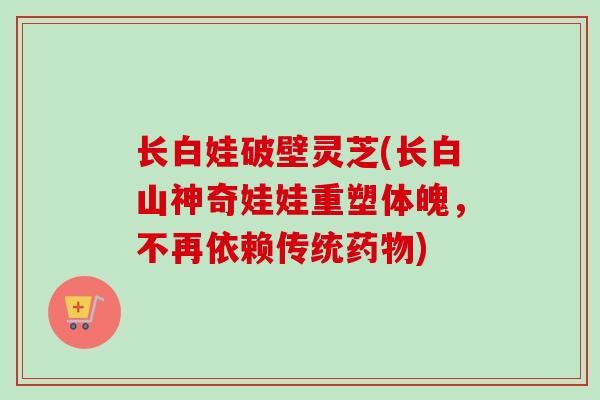 长白娃破壁灵芝(长白山神奇娃娃重塑体魄，不再依赖传统药物)