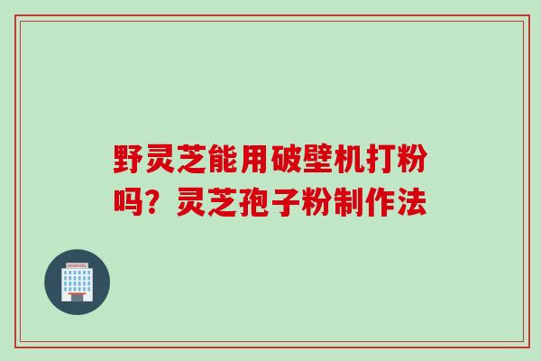野灵芝能用破壁机打粉吗？灵芝孢子粉制作法