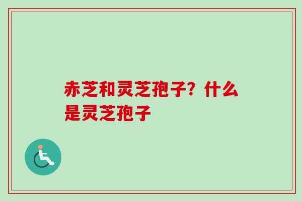 赤芝和灵芝孢子？什么是灵芝孢子