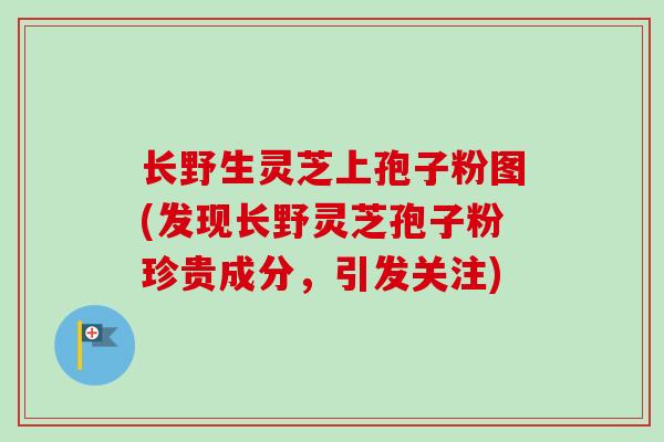 长野生灵芝上孢子粉图(发现长野灵芝孢子粉珍贵成分,引发关注) 长野生灵芝上孢子粉图(发现长野灵芝孢子粉珍贵成分,引发关注)